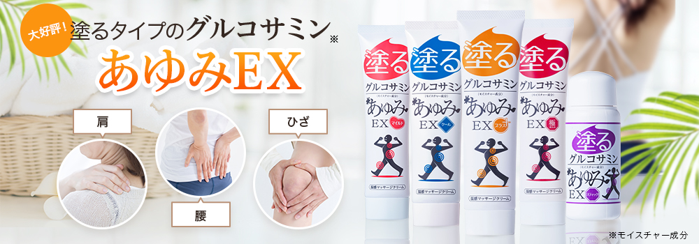 あゆみEXシリーズ一覧