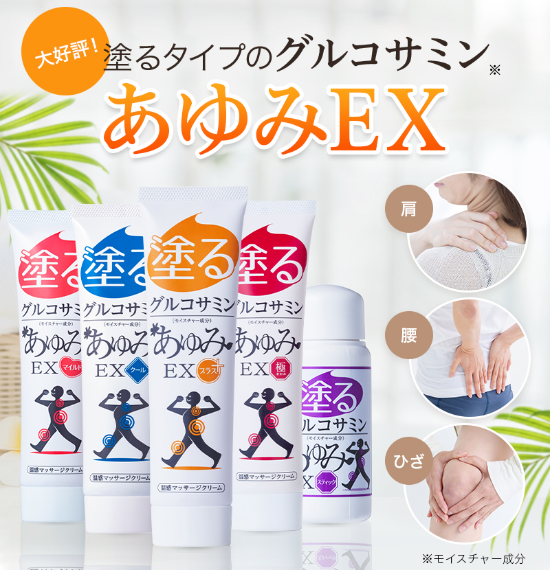 あゆみEXシリーズ一覧